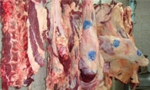 رگوشت گوساله - نمایشگاه فروش بهاره نهبندان خراسان جنوبی