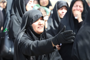 Seyed Abbas Mirnezami