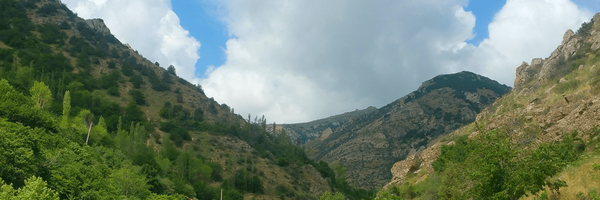 تصویر سربرگ نمایه‌ی ‌اخبار فوری کشور‌