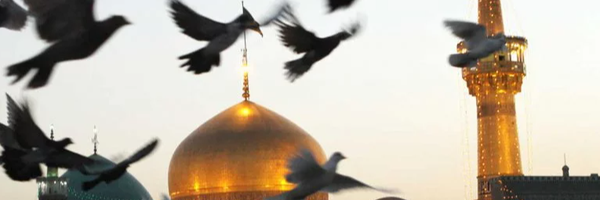 تصویر سربرگ نمایه‌ی ‌فاطمه شمس‌