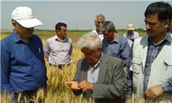 حاجی آباد