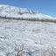 تصویر نمایه‌ی ‌بهنا مرادیان‌