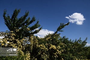 آسمان ابری تهران