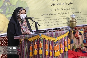 سخنرانی صغری فرشی، معاون گردشگری اداره کل میراث فرهنگی، گردشگری و صنایع دستی استان اردبیل در دومین جشنواره هیوا(به)گیوی