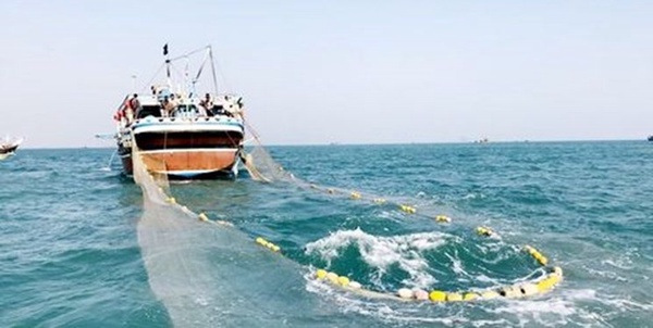 صید ترال