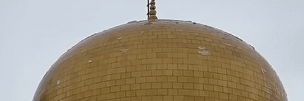 تصویر سربرگ نمایه‌ی ‌شهرام حسن پور‌