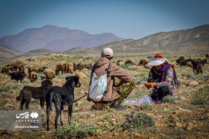 کوچ بهاره «عشایر فارس»
