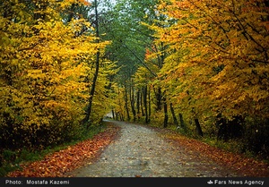 پاییز