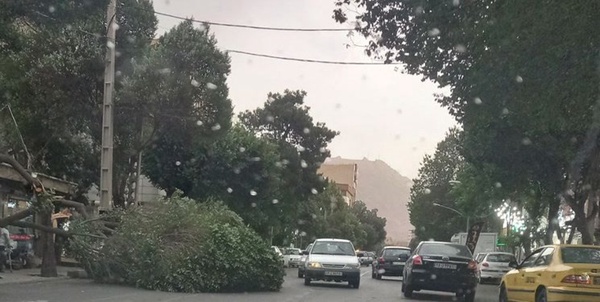 طوفان - باد