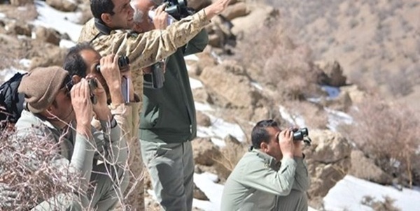 محیط بان