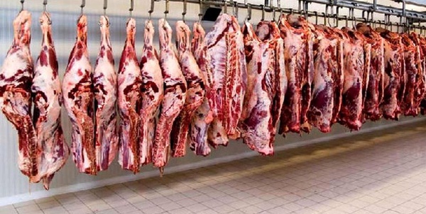 واردات گوشت