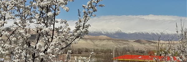 تصویر سربرگ نمایه‌ی ‌فاطمه شکری‌