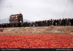 آیین نخل گردانی در مزینان سبزوار