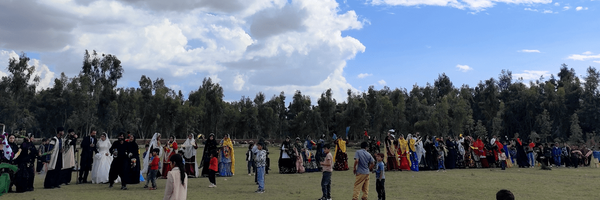 تصویر سربرگ نمایه‌ی ‌مریم محمدی‌