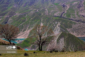طبیعت «کول میشان»