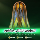 تصویر نمایه‌ی ‌📺 تلویزیون اینترنتی نیشابور (Tv)‌