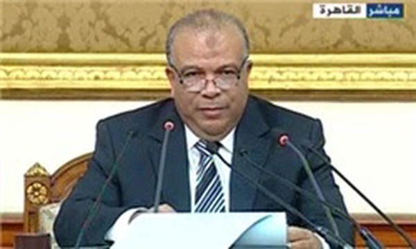 سعدالکتاتنی رئیس پارلمان جدید مصر