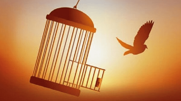 هدیه تولدی که یک کارگر را به خانه برگرداند