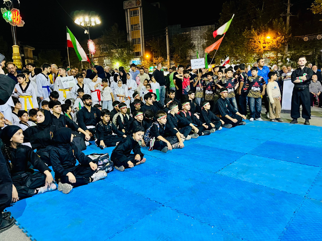 شبی برای یادآوری قهرمان ووشوی جهان