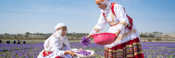 تصویر سربرگ نمایه‌ی ‌حسین معمری‌