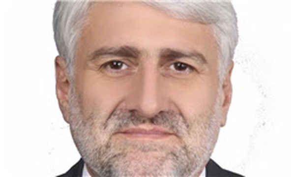 محمدحسین فرهنگی نماینده مجلس دهم