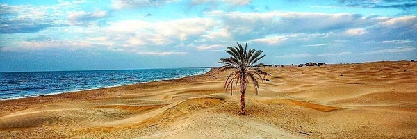 تصویر سربرگ نمایه‌ی ‌محمد هوتی پور‌