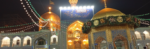 تصویر سربرگ نمایه‌ی ‌امیر حسین قصری زاده‌