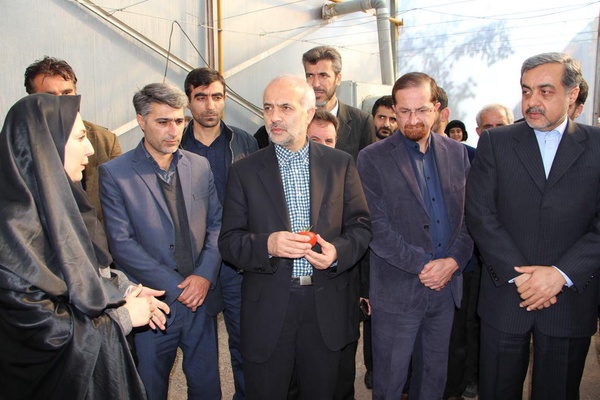 علیرضا همتی
