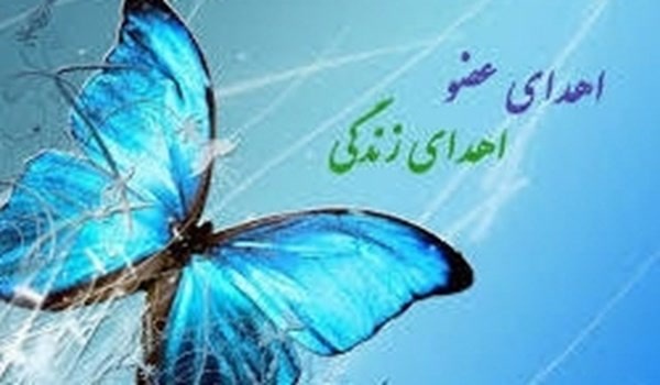 اهدای عضو