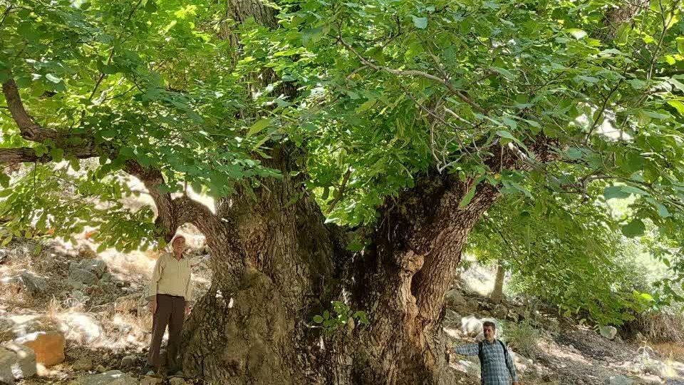 خبرهای خوبی از لرستان در هفته‌ای که گذشت