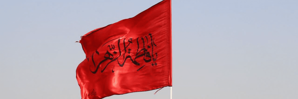 تصویر سربرگ نمایه‌ی ‌رضا مهریزی‌