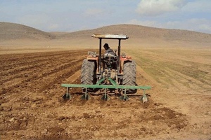 کشت پاییزه گندم