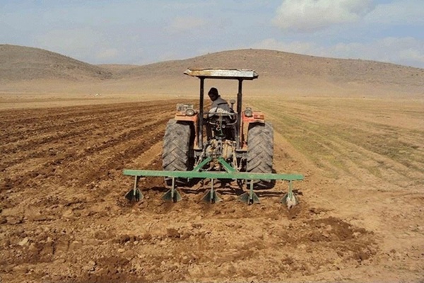 کشت پاییزه گندم