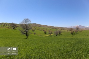 طبیعت «کول میشان»