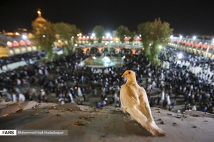 عزاداری شب عاشورا 
