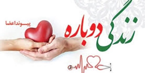 پیوند عضو