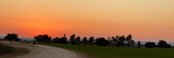 تصویر سربرگ نمایه‌ی ‌norfa‌