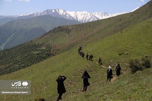عزیمت به طرف مرتع سَردانی کلاردشت