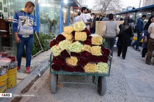 گل‌های بهاری مهمان‌خانه اصفهانی‌ها