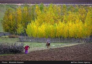 منطقه چهار دانگه ساری. روستاهای الندان و کیاده