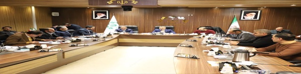 بیب