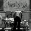 تصویر نمایه‌ی ‌نهال مغینمی‌