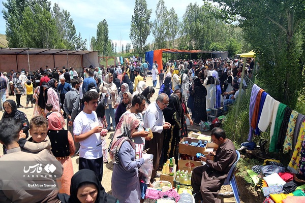 دومین جشنواره گلاب‌گیری امروله