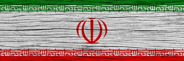 تصویر سربرگ نمایه‌ی ‌جان فدای رهبر عزیزم‌