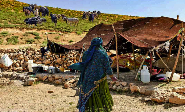 عشایر