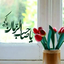 تصویر نمایه‌ی ‌9**3682 کنیز فاطمه (ع) منتظرالمهدی‌