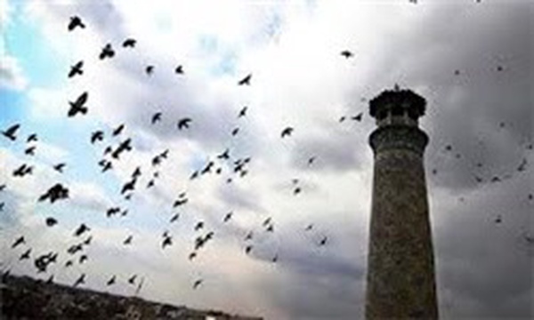 مسجد جامع قزوین