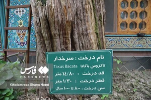 1000 سال همنشینی