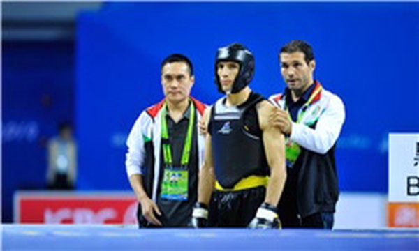 aghaei.jpg آقایی ووشو