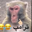 تصویر نمایه‌ی ‌ترامپ دهنت ببند‌
